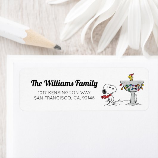 Erdnüsse | Snoopy & Woodstock dekorierte Vogelbade (Insitu)