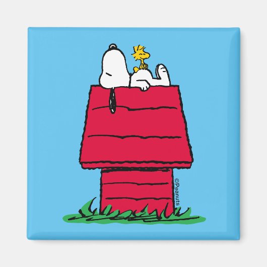 Erdnüsse | Snoopy & Woodstock Doghouse Magnet (Vorne)