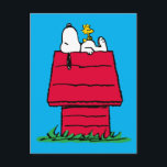 Erdnüsse | Snoopy & Woodstock Doghouse Postkarte<br><div class="desc">Karo dieses lustige Design aus Erdnüssen mit Snoopy und Woodstock.</div>