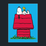 Erdnüsse | Snoopy & Woodstock Doghouse Postkarte<br><div class="desc">Karo dieses lustige Design aus Erdnüssen mit Snoopy und Woodstock.</div>