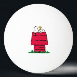 Erdnüsse | Snoopy & Woodstock Doghouse Tischtennisball<br><div class="desc">Karo dieses lustige Design aus Erdnüssen mit Snoopy und Woodstock.</div>