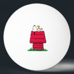 Erdnüsse | Snoopy & Woodstock Doghouse Tischtennisball<br><div class="desc">Karo dieses lustige Design aus Erdnüssen mit Snoopy und Woodstock.</div>