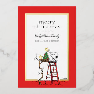 Erdnüsse   Snoopy & Woodstock Family Foto Folien Feiertagskarte