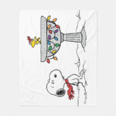 Erdnüsse | Snoopy & Woodstock Gefrorenes Birdbad Fleecedecke (Vorderseite)