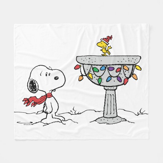 Erdnüsse | Snoopy & Woodstock Gefrorenes Birdbad Fleecedecke (Vorderseite (Horizontal))