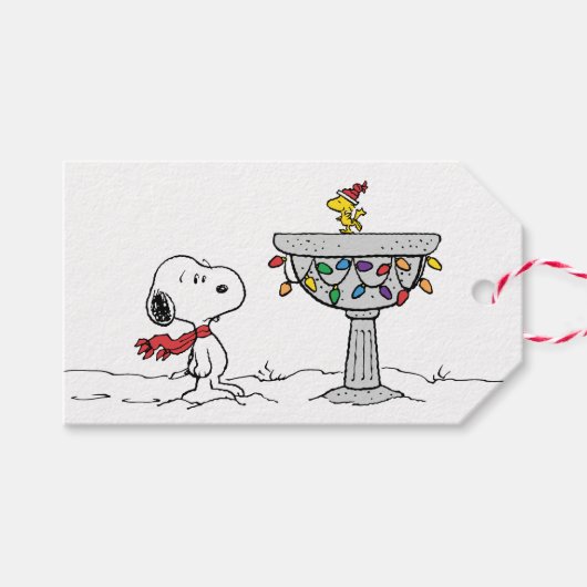 Erdnüsse | Snoopy & Woodstock Gefrorenes Birdbad Geschenkanhänger (Vorderseite (Horizontal))