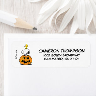 Erdnüsse Snoopy & Woodstock Pop-up Pumpkin