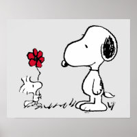 Erdnüsse | Snoopy & Woodstock Red & Black