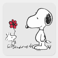 Erdnüsse | Snoopy & Woodstock Red & Black