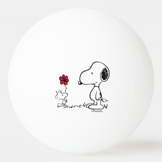 Erdnüsse | Snoopy & Woodstock Red & Black Tischtennisball (Vorderseite)
