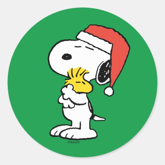 Erdnüsse | Snoopy & Woodstock Runder Aufkleber (Vorderseite)