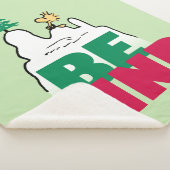 Erdnüsse | Snoopy & Woodstock sind gut Sherpadecke (3/4)