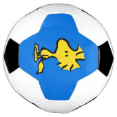 Erdnüsse | Snoopy's Friend Woodstock Fußball (Gedreht)