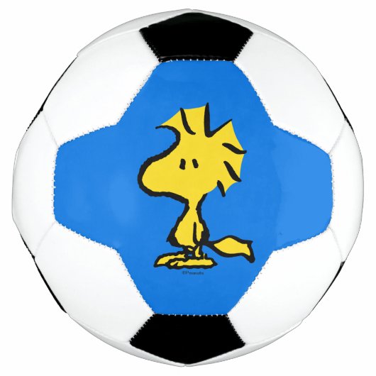 Erdnüsse | Snoopy's Friend Woodstock Fußball (Vorderseite)