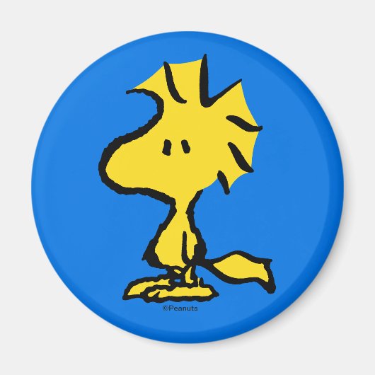 Erdnüsse | Snoopy's Friend Woodstock Magnet (Vorne)