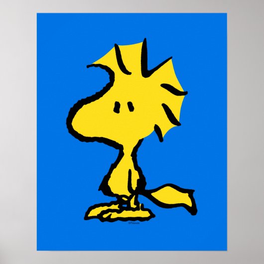 Erdnüsse | Snoopy's Friend Woodstock Poster (Vorne)