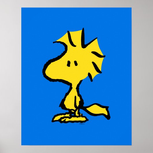 Erdnüsse | Snoopy's Friend Woodstock Poster (Vorne)