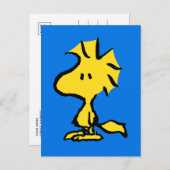 Erdnüsse | Snoopy's Friend Woodstock Postkarte (Vorne/Hinten)