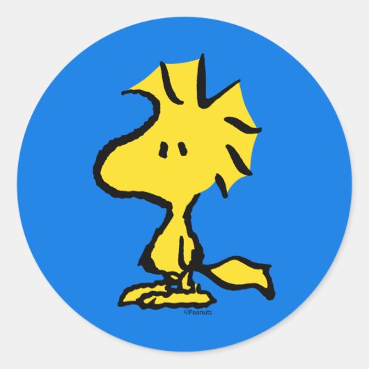 Erdnüsse | Snoopy's Friend Woodstock Runder Aufkleber (Vorderseite)