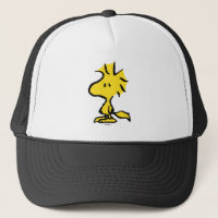 Erdnüsse | Snoopy's Friend Woodstock