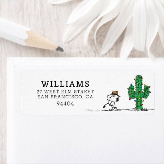 Erdnüsse | Spike Decorations für den Urlaub (Insitu)