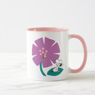 Erdnüsse   Veranschaulichung der Lila Blume der Na Tasse