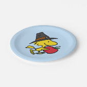 Erdnüsse | Waldpilgrim Pappteller (Schrägansicht)