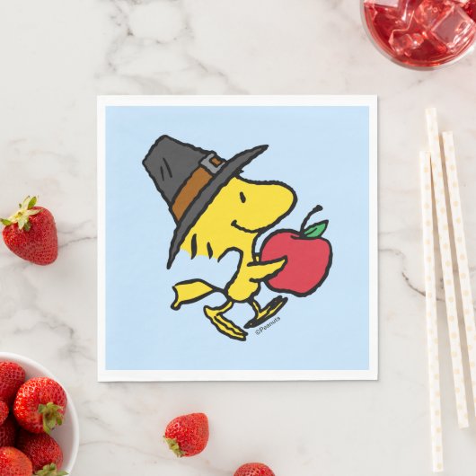 Erdnüsse | Waldpilgrim Serviette (Beispiel)