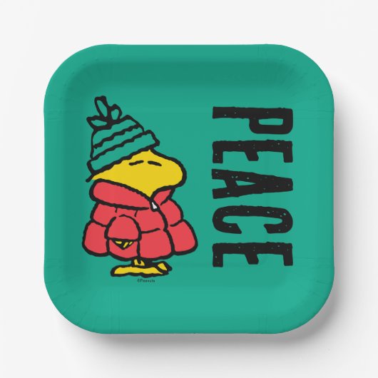 Erdnüsse | Waldpuffy Winter Jacket Pappteller (Vorderseite)