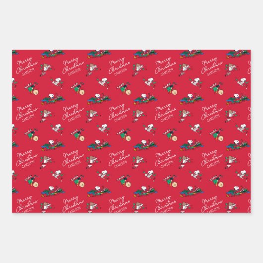 Erdnüsse | Weihnachtsgeschenkmuster Geschenkpapier Set (Vorderseite 2)