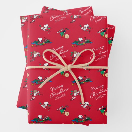 Erdnüsse | Weihnachtsgeschenkmuster Geschenkpapier Set (Beispiel)