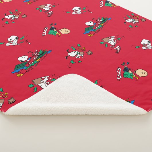 Erdnüsse | Weihnachtsgeschenkmuster Sherpadecke (3/4)