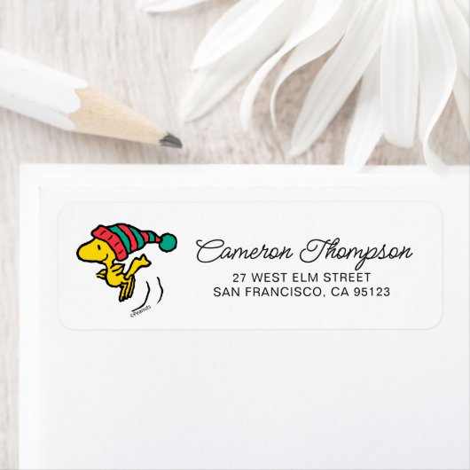 Erdnüsse | Woodstock Winter Beanie Cap (Insitu)