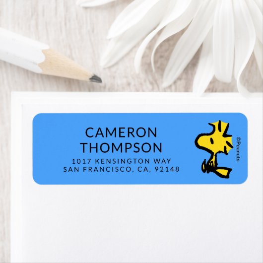 Erdnüsse | Zukunft der Wälder (Insitu)