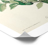 Erdock von Audubon Poster (Ecke)