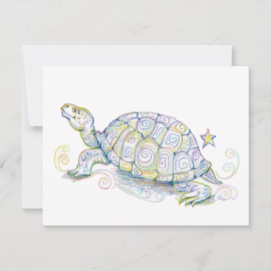 Erdschildkröte (Vorderseite)