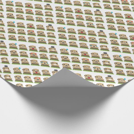 Erdschweinchen Geschenkpapier (Ecke)