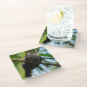 Erdtaube Glasuntersetzer (Schrägansicht)