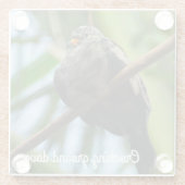 Erdtaube Glasuntersetzer (Rückseite)