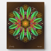 Erdung Fotoplatte (Vorderseite)