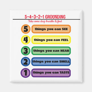 Erdungstechnik für Angst/Stress 5 Sinne Magnet