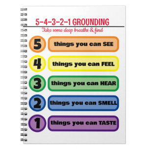 Erdungstechnik für Angst/Stress 5 Sinne Notizblock