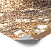 Erdwissenschaft, Umwelt, Eutrophierung Poster (Ecke)