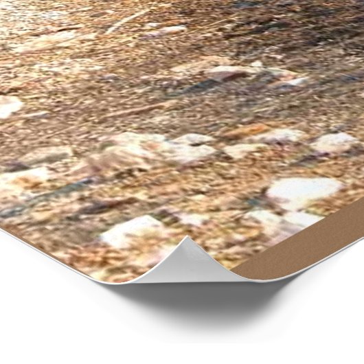 Erdwissenschaft, Umwelt, Eutrophierung Poster (Ecke)