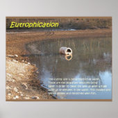 Erdwissenschaft, Umwelt, Eutrophierung Poster (Vorne)
