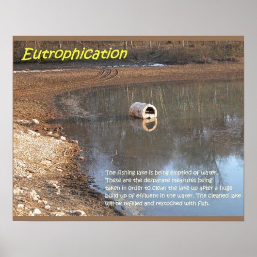 Erdwissenschaft, Umwelt, Eutrophierung Poster (Vorne)