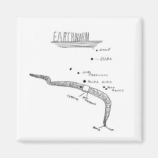 Erdwurmanatomie Magnet