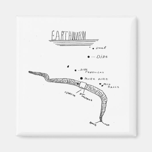 Erdwurmanatomie Magnet (Vorne)