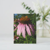 Erect Cone Blume Postkarte (Stehend Vorderseite)