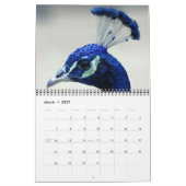 Ereignis im Zookalender Kalender (Mär 2027)